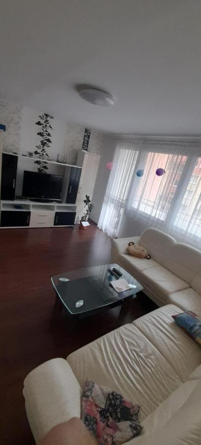 Apartman Zelezna Ruda Exterior photo